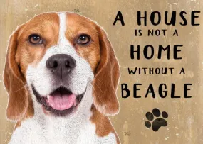 A House is not a Home without a Beagle