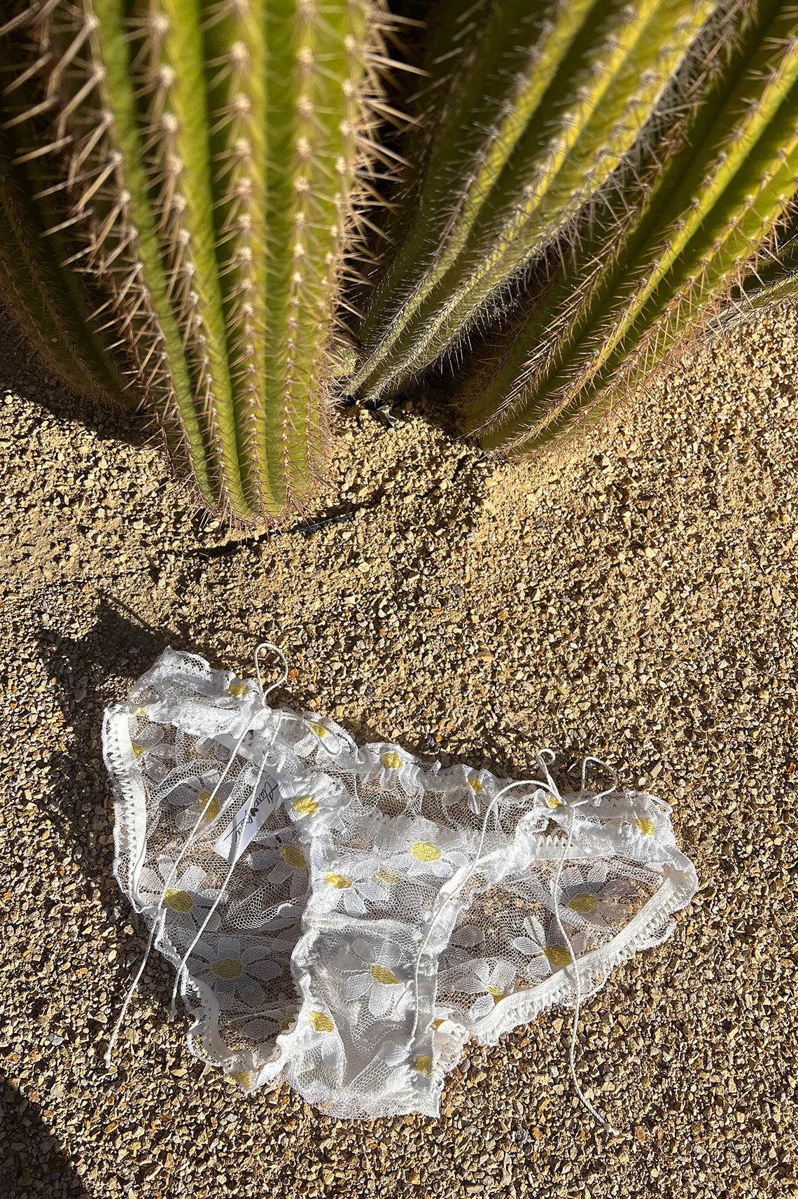 BACK IN STOCK! Anaphora Panty in Sheer Upcycled Vintage Daisy Tulle Mesh