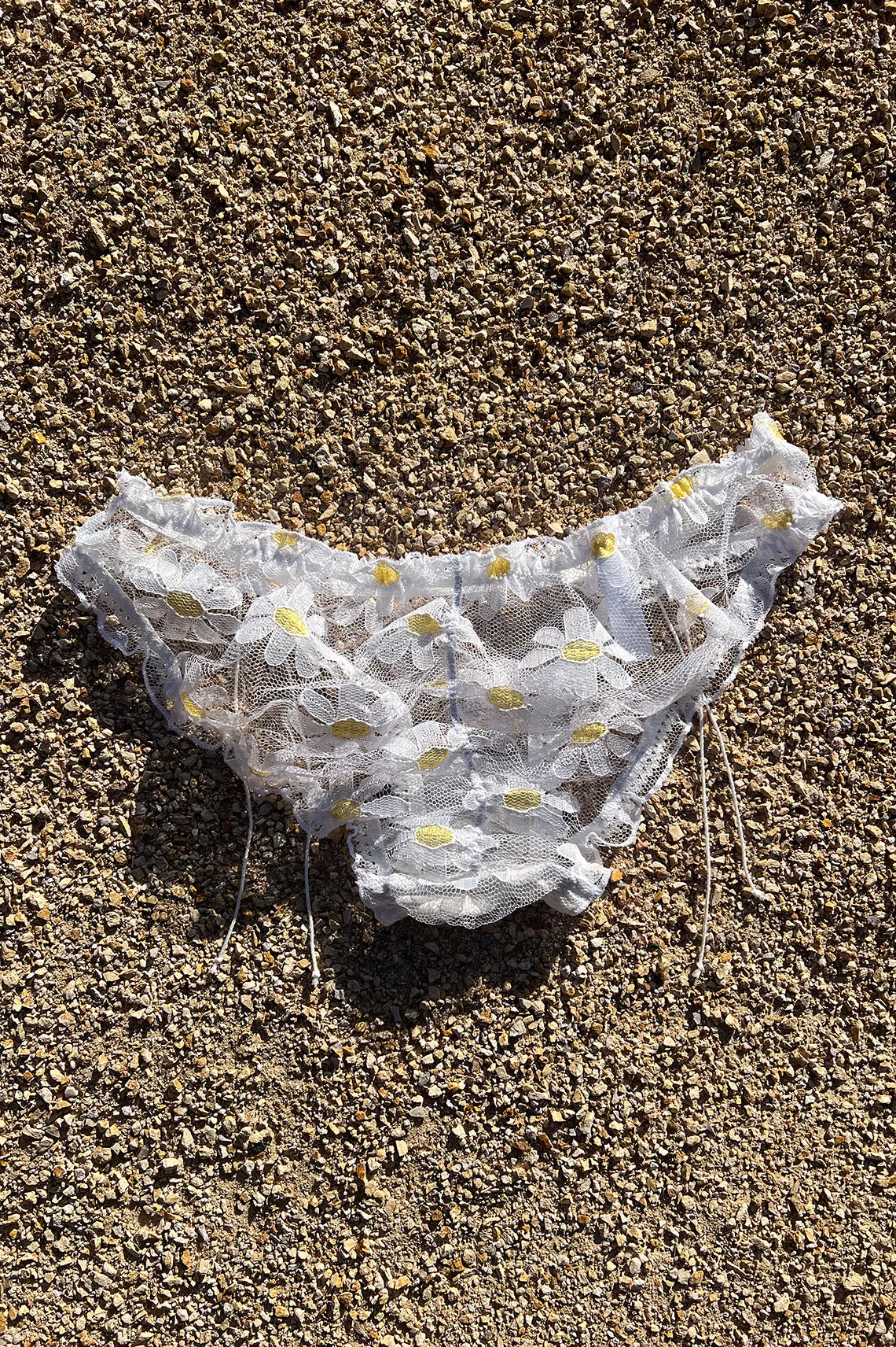 BACK IN STOCK! Anaphora Panty in Sheer Upcycled Vintage Daisy Tulle Mesh